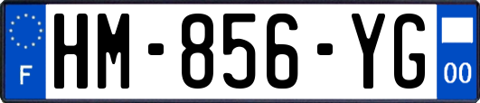 HM-856-YG