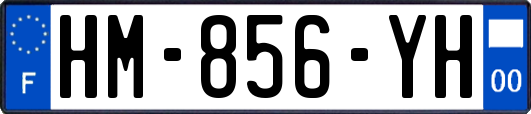 HM-856-YH