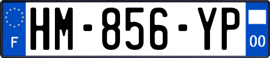 HM-856-YP