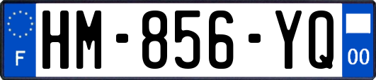 HM-856-YQ