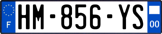 HM-856-YS