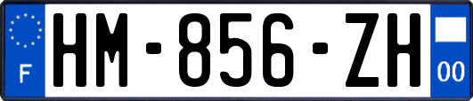 HM-856-ZH