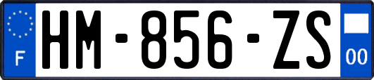 HM-856-ZS