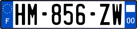 HM-856-ZW