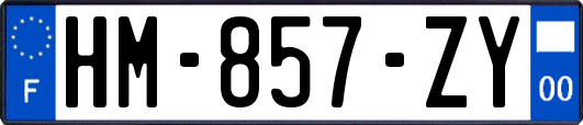 HM-857-ZY