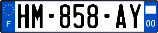HM-858-AY