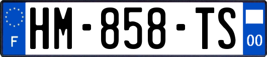 HM-858-TS