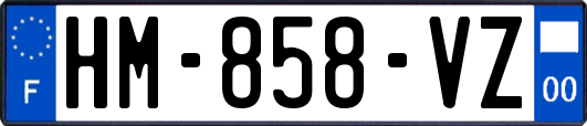 HM-858-VZ