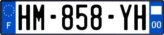 HM-858-YH