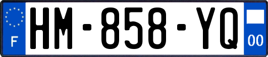 HM-858-YQ