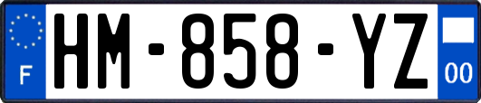 HM-858-YZ