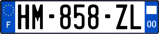 HM-858-ZL
