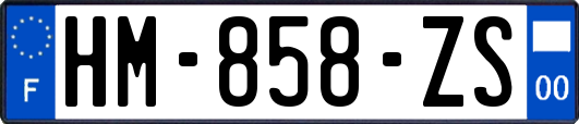 HM-858-ZS