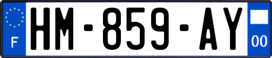 HM-859-AY