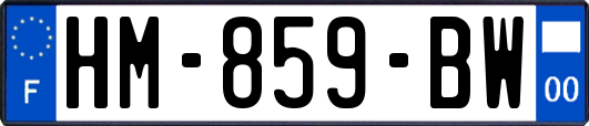 HM-859-BW