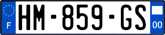 HM-859-GS