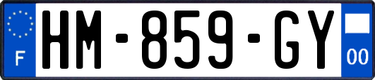 HM-859-GY