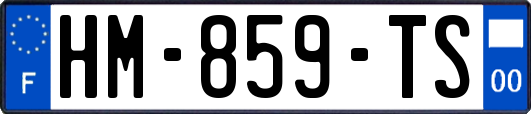 HM-859-TS