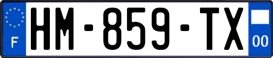 HM-859-TX
