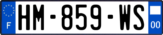 HM-859-WS