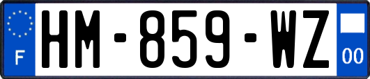 HM-859-WZ