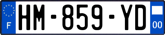 HM-859-YD