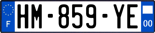 HM-859-YE