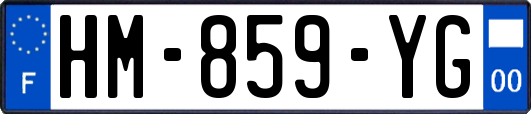 HM-859-YG