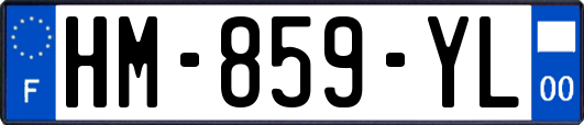 HM-859-YL