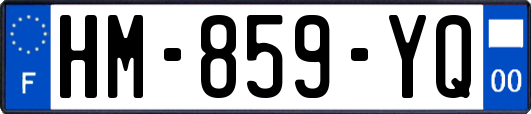 HM-859-YQ