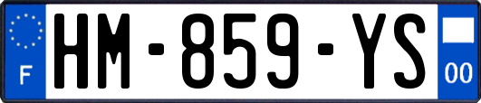 HM-859-YS