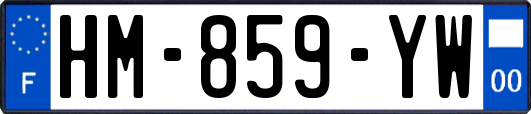 HM-859-YW