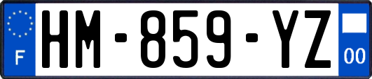 HM-859-YZ