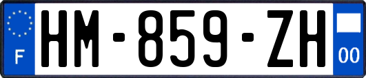 HM-859-ZH