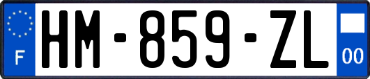 HM-859-ZL