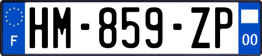 HM-859-ZP