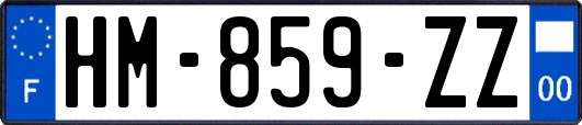 HM-859-ZZ