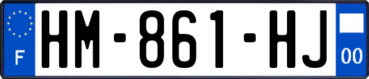 HM-861-HJ