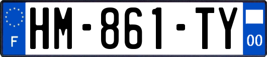 HM-861-TY