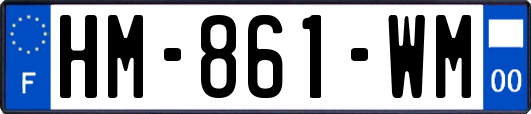 HM-861-WM