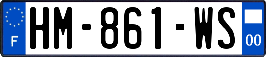 HM-861-WS