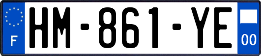 HM-861-YE
