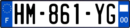 HM-861-YG