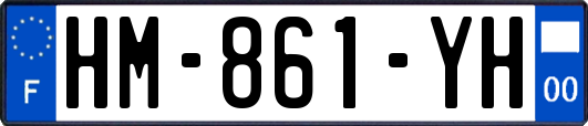 HM-861-YH