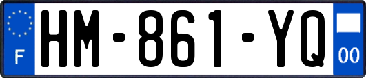 HM-861-YQ