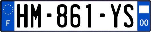 HM-861-YS