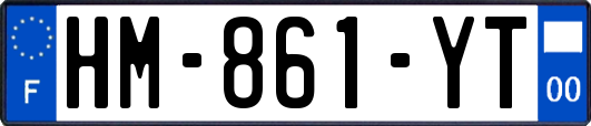 HM-861-YT