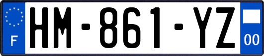 HM-861-YZ