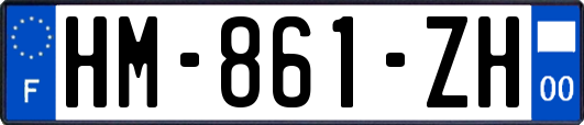 HM-861-ZH
