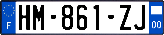 HM-861-ZJ
